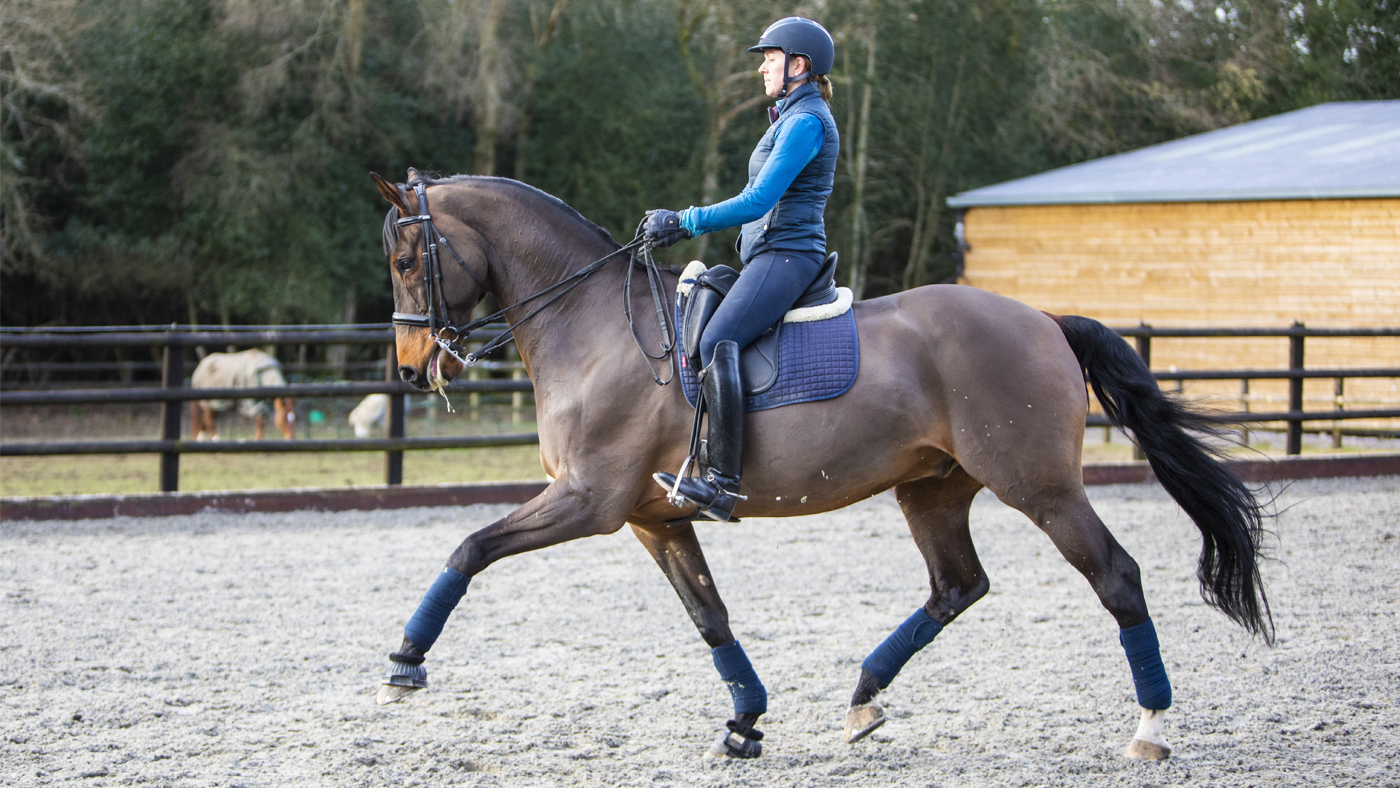 Dressage-Training-1400x788px