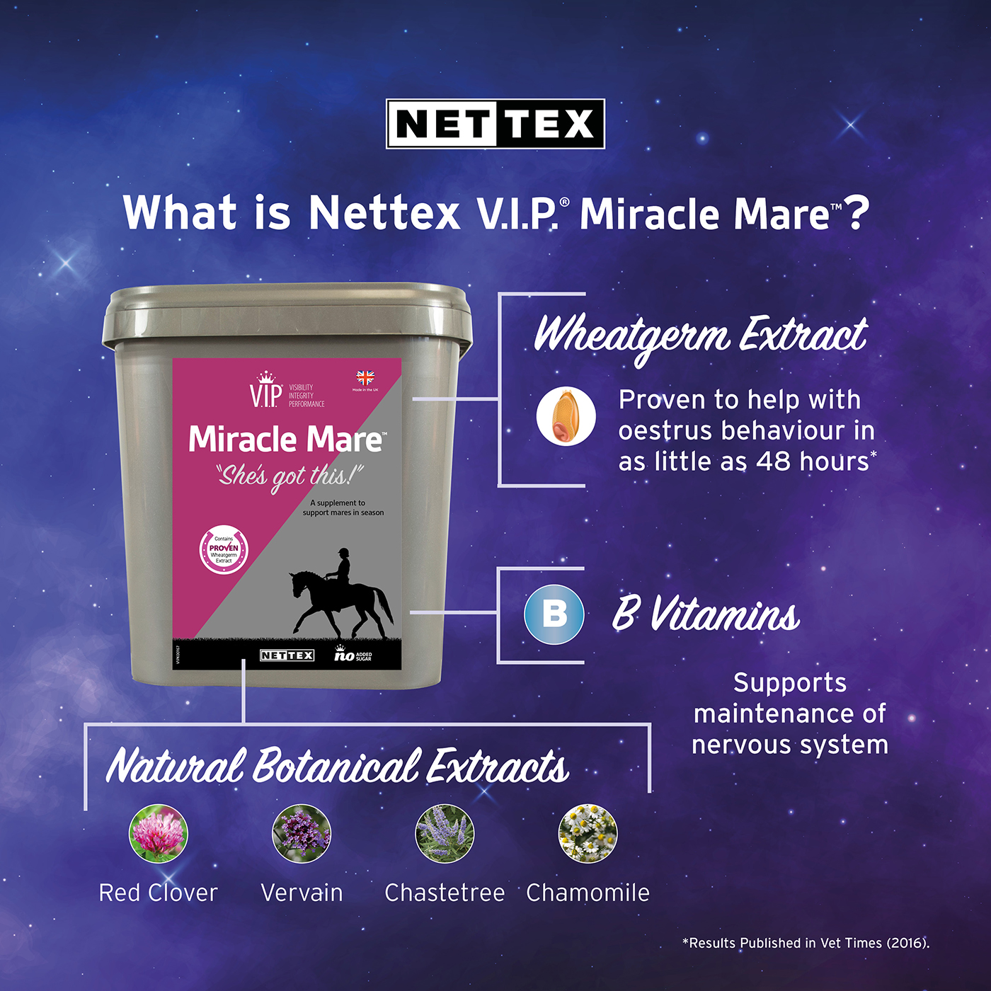 V.I.P. Miracle Mare from NETTEX