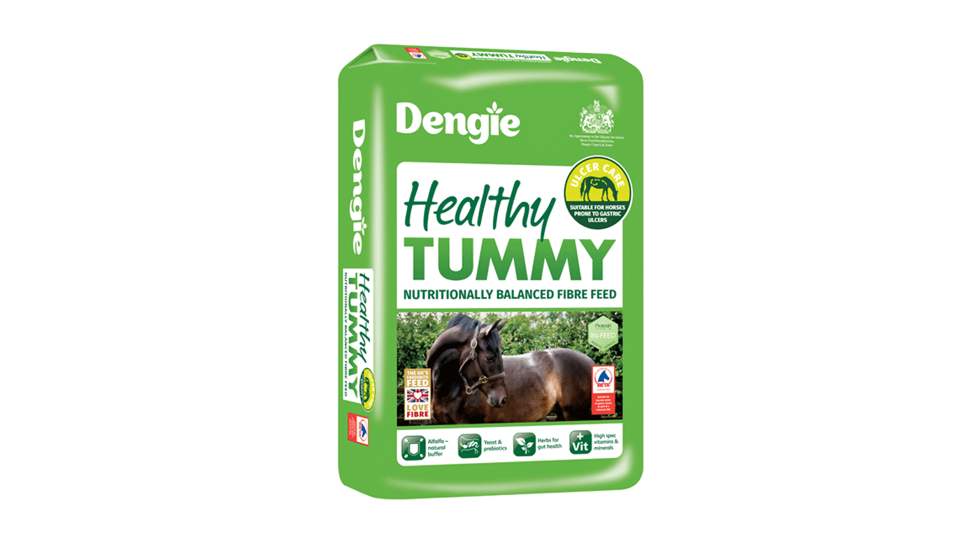 Healthy-Tummy-_-1400-x788