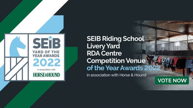 SEIB-Vote_Hero_1400x788