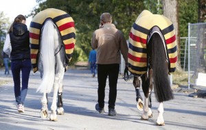 WEB-SCHEDULE-6-NOV-07-300x190