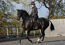 Lucinda rides "Comberton Clancy" on 15 November 2011