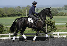 Lucinda Green, Opposition Buzz, 23 May 2011