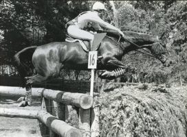 lucindainpics