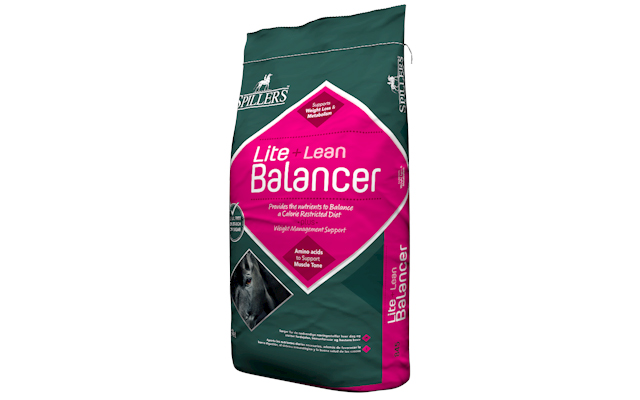 20kg-Lite-+-Lean-Balancer-Right-New