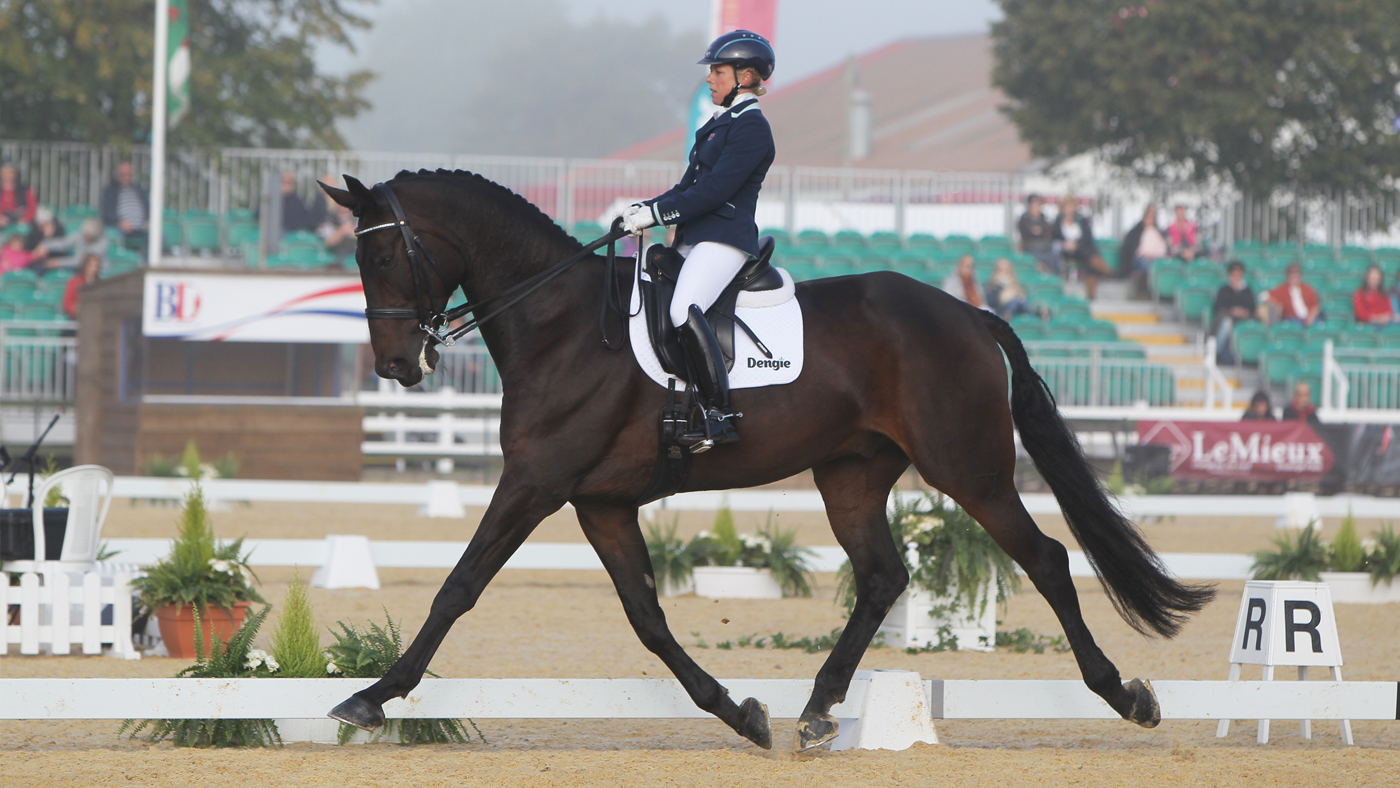 Dressage-new