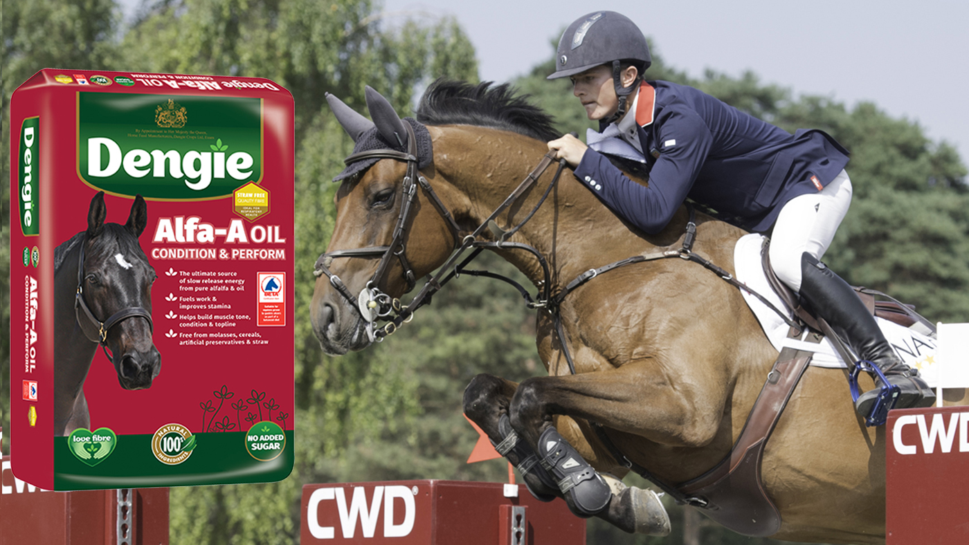 Graham-Babes-Alfa-Oil-image