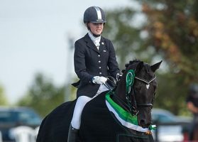 Chloe Vell and Kaja Di Valentina win the Suregrow Advanced Medium Restricted Championship at Espayo National Dressage Championships 2012