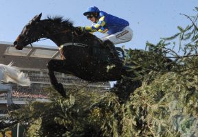 Ryan Mania riding Auroras Encore in the Grand National