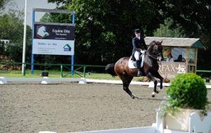 Dressage at Hickstead