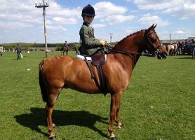 Alice Homer riding Gingerboy side saddle