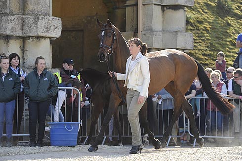 Caroline Powell (NZL) riding Boston Two Tip at the first vet check of The Mitsubishi Motors Badminton Horse Trials