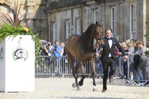 Ludwig Svennerstal (SWE) riding Alexander at the first vet check of The Mitsubishi Motors Badminton Horse Trials