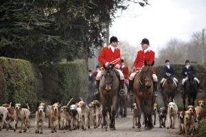 Cheshire Forest hunt