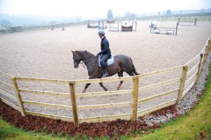 Schooling in an arena