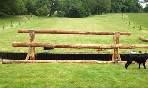 The elephant trap has been turned around on the new course