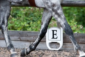 Dressage marker viewed through a horse's legs