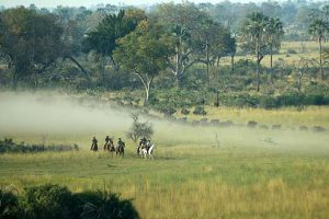horse riding holidays