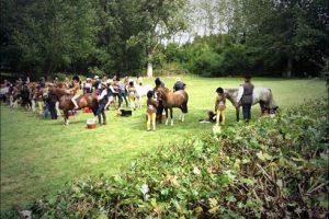 The 122cm SHP class at Royal International Horse Show. Pic by Rebecca Arnold