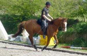 Garry Stevens riding