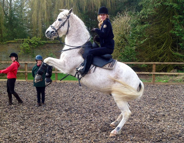 Featured-Image-630px-x-490px