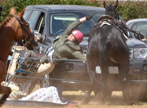 horse-bolts-at-minehead-harriers-dunster-show-2013-2
