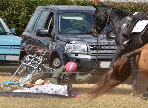 horse-bolts-at-minehead-harriers-dunster-show-2013-4