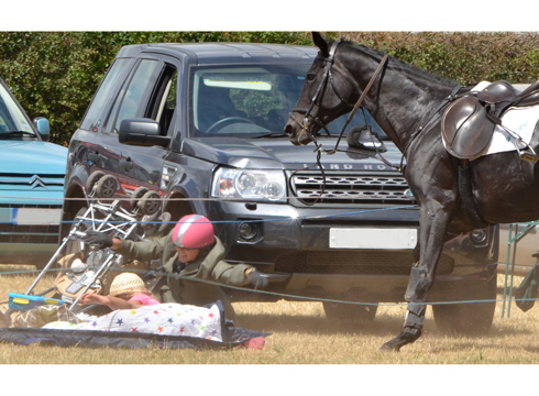 horse-bolts-at-minehead-harriers-dunster-show-2013-5