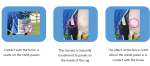 How Guardian rugs work