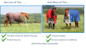 Guardian Electric rug details