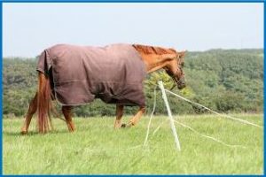Electric fence image