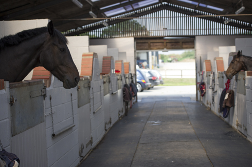 Livery yard bills are going up, but there are ways to save money