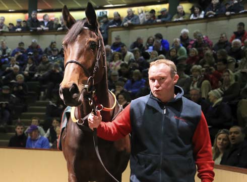 FSP_GOFFS_PAULYN_SALE_007