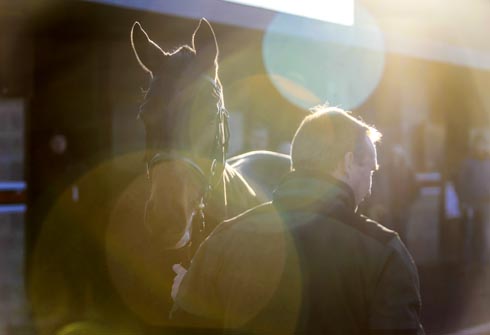 FSP_GOFFS_PAULYN_SALE_010