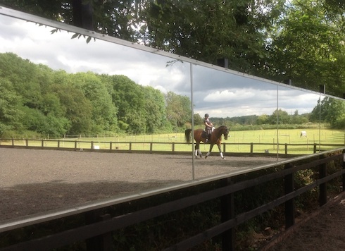 Arena mirrors from Mirrors for Training