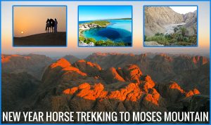 Dahab holidays for 2014