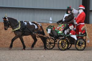 Alison and Tony Dascombe