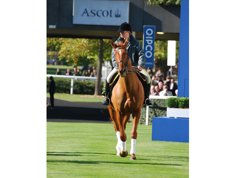 Quipco Ascot British Champion Day October 2011 006