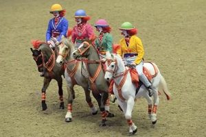 Saffron Walden & District Riding Club