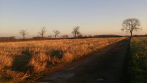 Lauren Shannon's field — soon to be yard