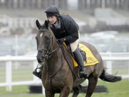Denman parading at Newbury 2013