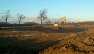 Work on Lauren Shannon's new yard, early February 2014