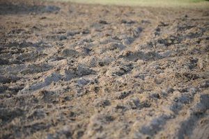 muddy conditions