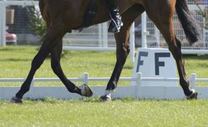 Badminton horse trials dressage live stream