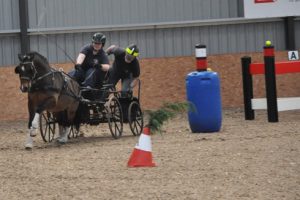 Emily Ham and Mr J at indoor driving trials