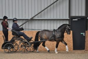 Emily Ham and Mr J doing indoor dressage