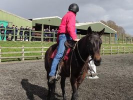 Jason Webb backing polo ponies