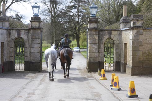How to ride and lead a horse
