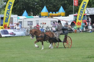 Victoria Kedward in the exercise class at Brecon County Show
