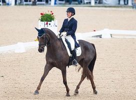 Allison Springer (USA) and Arthur at the 2014 Rolex Kentucky